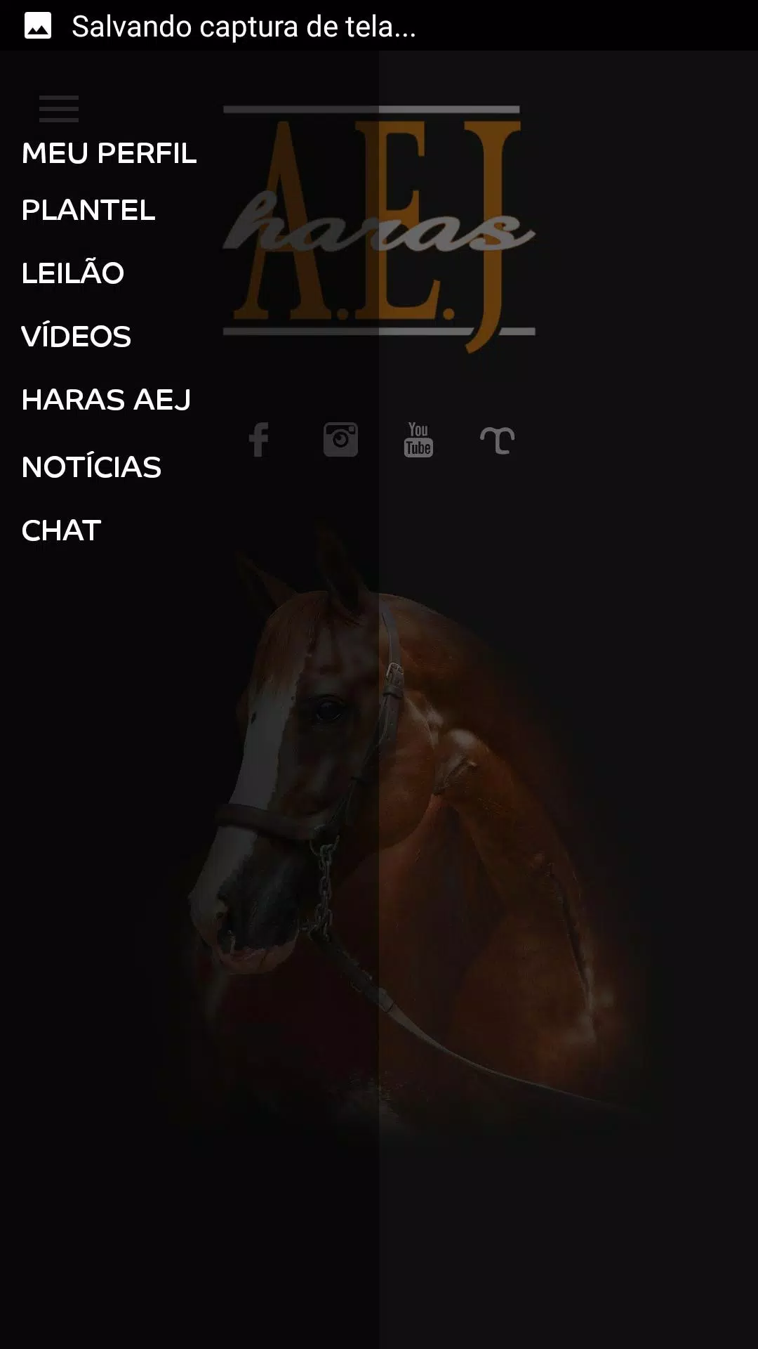 AEJ Captura de pantalla 3