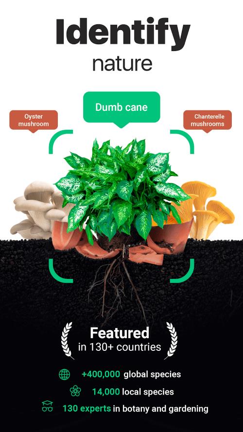 NatureID应用截图第1张