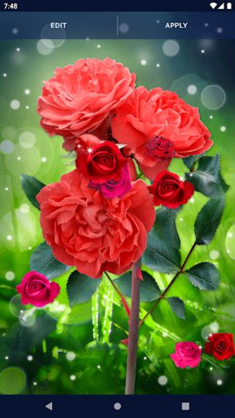 Red Rose Live Wallpaper ภาพหน้าจอ 1