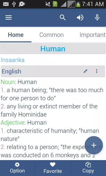 Somali Dictionary Offline Capture d'écran 3