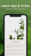 Nature Detect - Plant Identify Schermafbeelding 4