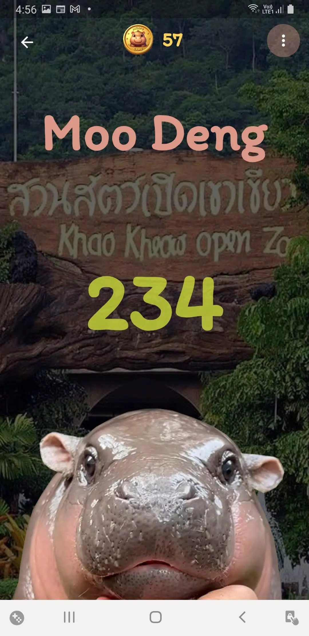 Moo Deng スクリーンショット 3