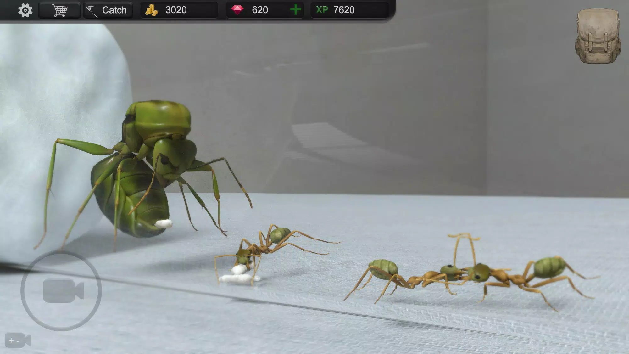Ant Sim Tycoon Скриншот 1