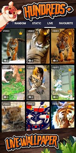 tiger background 스크린샷 3