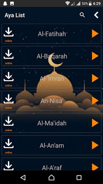 Holy Quran Online スクリーンショット 2