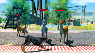 Doberman Dog Simulator 스크린샷 2