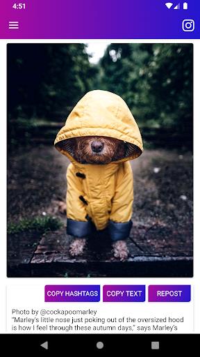 Downloader for IG Скриншот 1