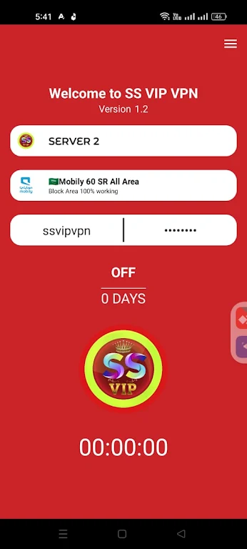 SS VIP VPN Captura de tela 4