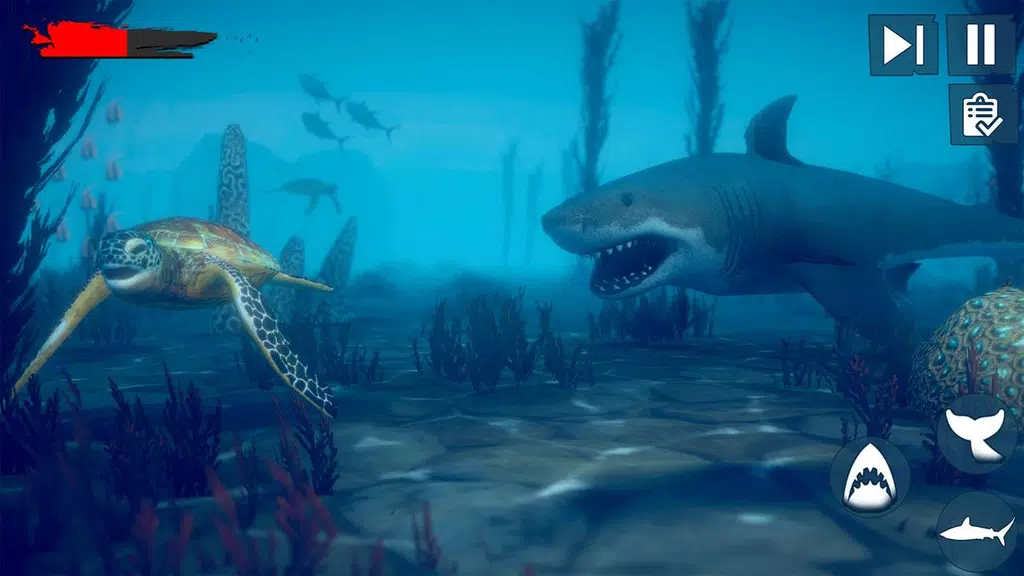 Real Survival Angry Shark Game Zrzut ekranu 4