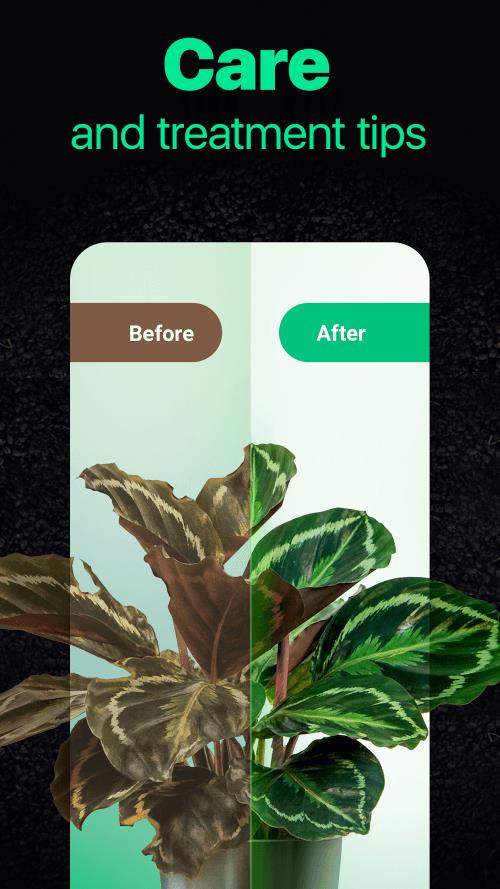 NatureID স্ক্রিনশট 2