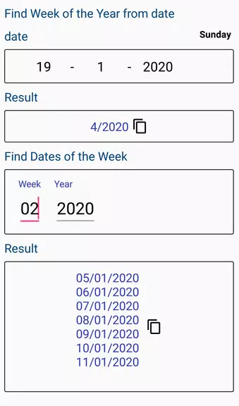 Age Calculator Schermafbeelding 3