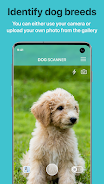 Dog Scanner: Breed Recognition ภาพหน้าจอ 1