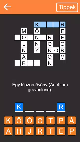 Keresztrejtvény Captura de pantalla 1