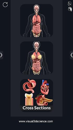 My Organs Anatomy स्क्रीनशॉट 1