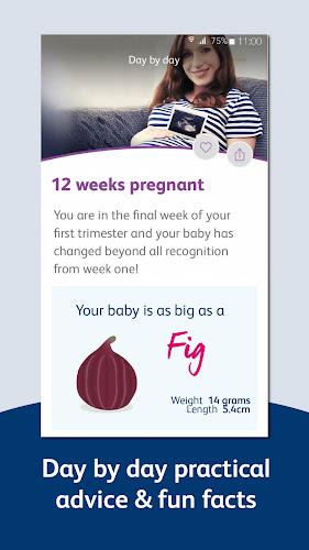 Bounty - Pregnancy & Baby App Zrzut ekranu 3