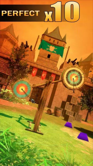 Archery Shooting Screenshot 1