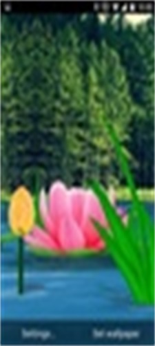 Flower Live Wallpaper 3D स्क्रीनशॉट 2