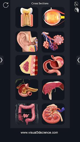 My Organs Anatomy स्क्रीनशॉट 2