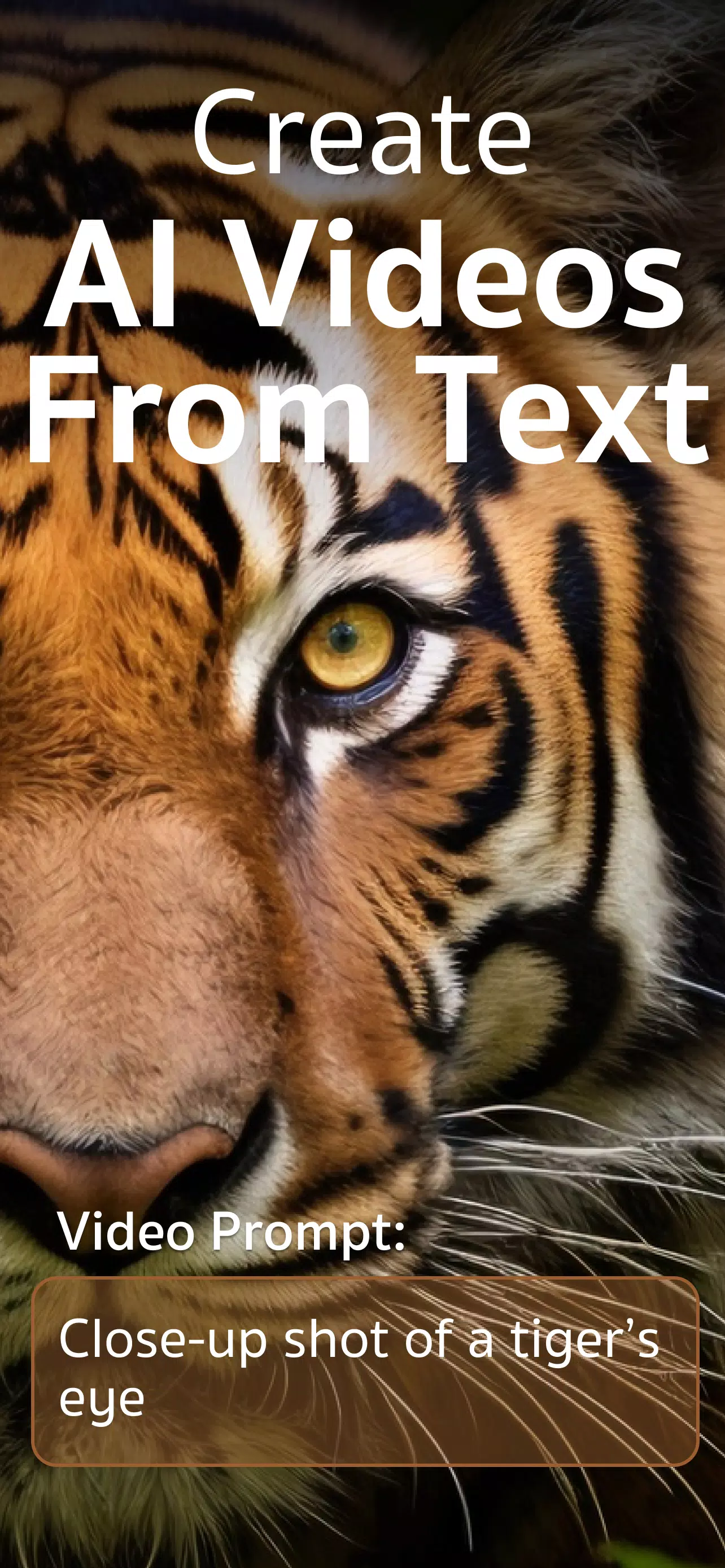 Text to AI Video & Image Monet Screenshot 1
