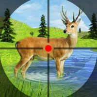 Deer Hunting Shooting Games