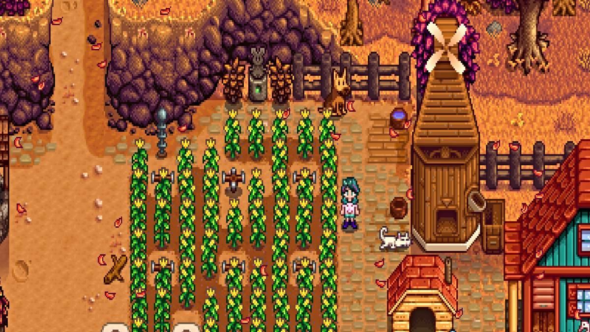 Comment obtenir plusieurs animaux de compagnie dans Stardew Valley