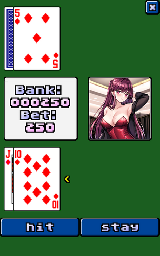 video blackjack Ekran Görüntüsü 3