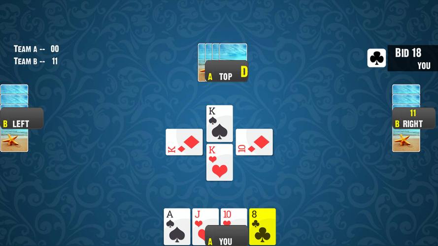 28 Card Game:Offline Card Game Screenshot 1