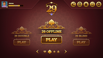 29 Royal Pro Card Game Offline Schermafbeelding 3