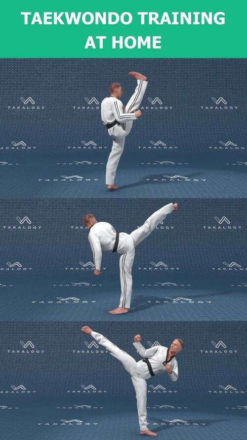 Schermata Mastering Taekwondo at Home 2