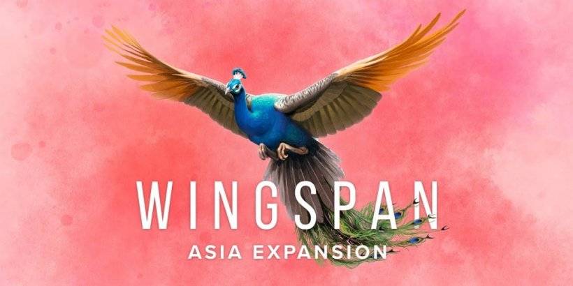 Wingspan Asya Genişletme bu yaz piyasaya sürülüyor