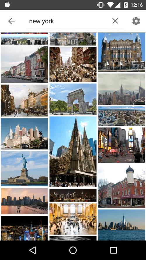 ImageSearchMan Zrzut ekranu 2