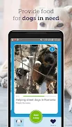 feed a dog: animal welfare 스크린샷 3