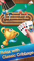 Cribbage - Card Game スクリーンショット 2