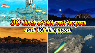 Excite BigFishing Ⅲ Ảnh chụp màn hình 4