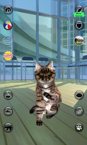 Talking Reality Cat Screenshot 2