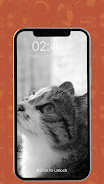 Kitty Cat Pin Lock Screen Captura de pantalla 4