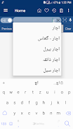 English Urdu Dictionary Скриншот 4