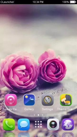 Pink Roses Theme C Launcher स्क्रीनशॉट 3