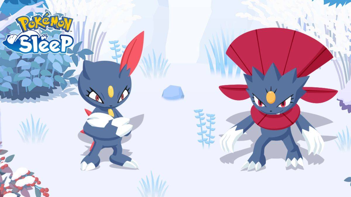 Làm thế nào để có được Sneasel và Weavile trong Pokemon Sleep