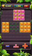 Block Puzzle Jewel Classic Screenshot 4