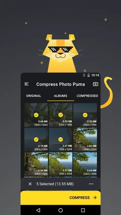 Compress Photo Puma Screenshot 1