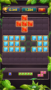 Block Puzzle Jewel Classic Screenshot 2