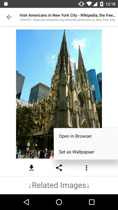 ImageSearchMan Zrzut ekranu 4