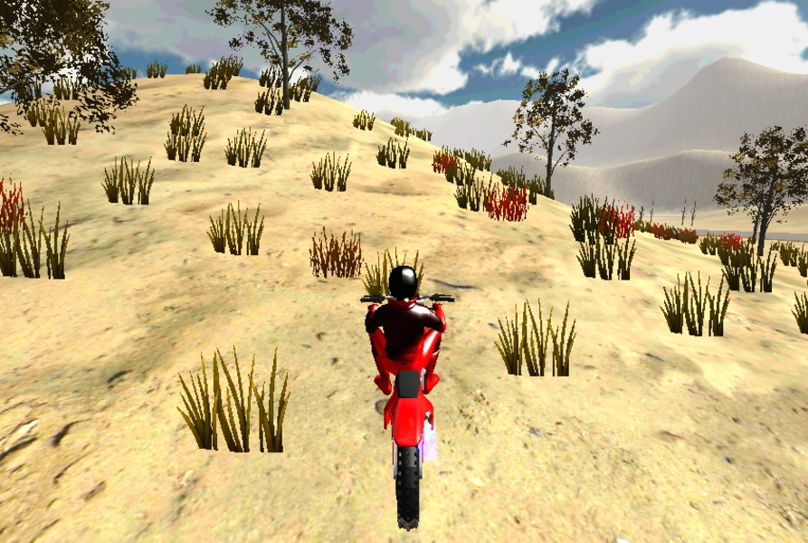 Mountain Bike 3D Schermafbeelding 2