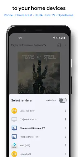 BubbleUPnP for DLNA/Chromecast स्क्रीनशॉट 2