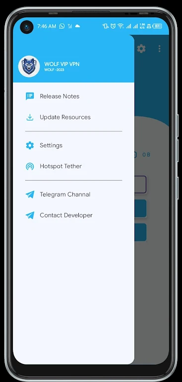 WOLF VIP VPN Tangkapan skrin 4