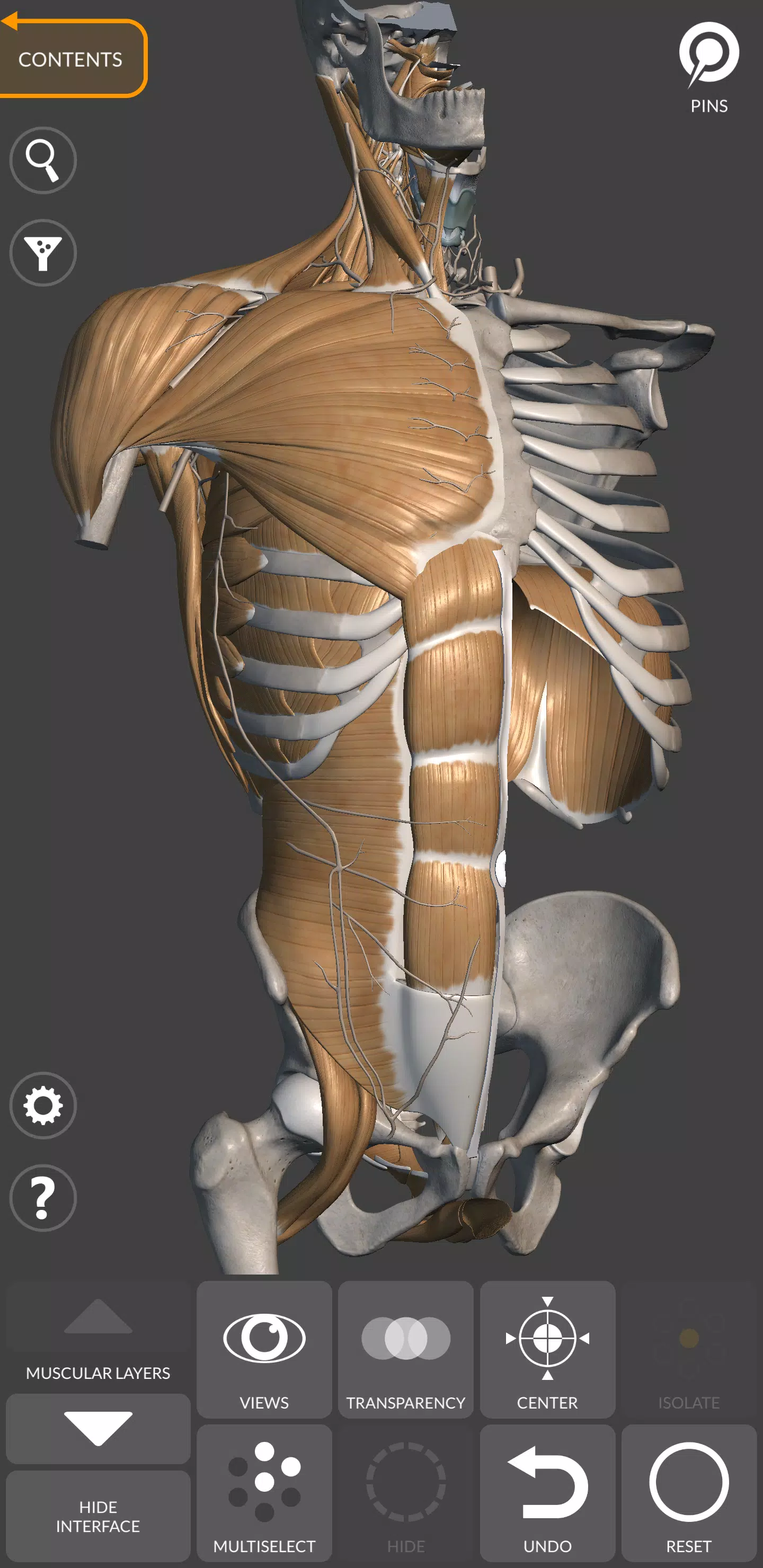Anatomie 3D pour artiste Capture d'écran 2