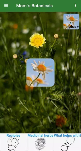 Mom´s Botanicals Captura de tela 1