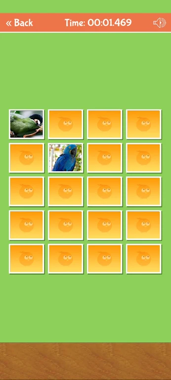 Birds Memory Match Game ဖန်သားပြင်ဓာတ်ပုံ 3