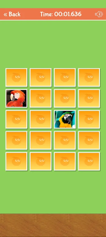 Schermata Birds Memory Match Game 4